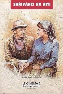 Жаворонки на нити