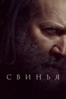 Свинья