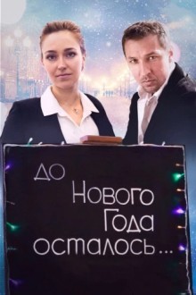 До Нового года осталось…
