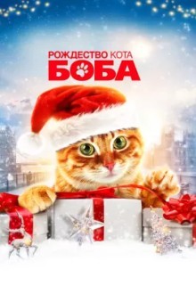Рождество кота Боба