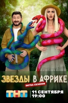 Звёзды в Африке