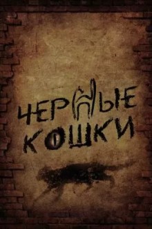 Черные кошки