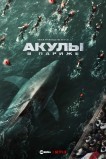 Акулы в Париже